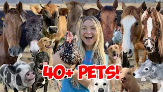 ALL MY ANIMALS In ONE VIDEO 2021!! 40+ Pets!