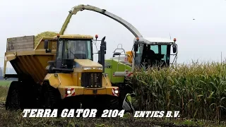 Maïs oogst 2019 alles op rups. Harvesting Maïze in mud. Entjes B.V.