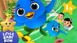 Two Little Dickie Birds | Animal Songs | Little Baby Bum