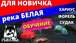 ОБУЧАЮЩЕЕ ВИДЕО ДЛЯ НОВИЧКА ✅ РУССКАЯ РЫБАЛКА 4 👍 ФАРМ р. БЕЛАЯ 🔴 Russian Fishing 4 🔴 РР4 / DUM_