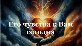 🍀Его чувства к Вам сегодня ☝️Слабонервным не смотреть))#tarot #таро #love #тароонлайн