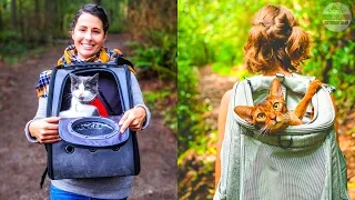 Best Cat Backpacks in 2023 -  Top 7 Best Cat Carrier Backpacks
