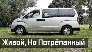 Стоит ли Покупать Хендай Н1 (2007-2019) на Вторичке