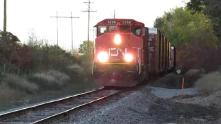 CN 5258 with a Northbound local freight train at Pavilion, MI