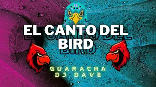 EL CANTO DEL BIRD - DJ DAVE (GUARACHA)