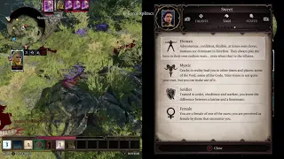 Help me help you! Unlocking FUN: Divinity 2 Original Sin