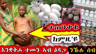 🛑ተጠንቀቁ🚫እንቋቅሖ ተመን ኣብ ዕዳጋ ( new eritrean movie ) ( Hlna 12 ( ሕልና 12 ( new eritrean music ) @Mili toto