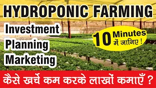All about Hydroponic Farming in 10 minutes