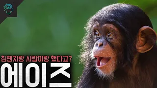 그러니까...사람이랑 침팬지랑 했다고? '에이즈'