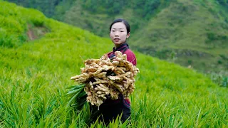 Make a lot of Chinese food with ginger