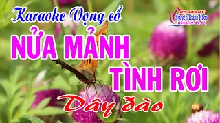 Karaoke vọng cổ NỬA MẢNH TÌNH RƠI - DÂY ĐÀO [ Beat hay ]