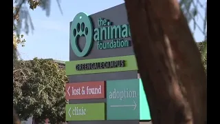 Local leaders demand answers, call for audit of The Animal Foundation