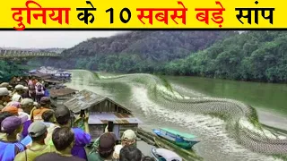 देखिए दुनिया के 10 सबसे बड़े सांपों को | 10 biggest snake in the world in hindi