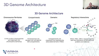 Toward a Complete Brain Atlas: Mapping Brain Cell Diversity with Single-Cell Epigenomics