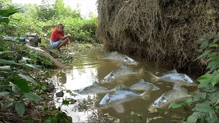 Fishing Exciting - The girl used the pump to suck all the water in the lake, Catch a lot fish