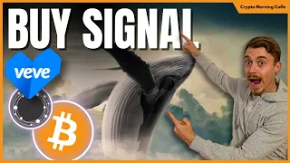 This MAJOR Buy Signal could send Crypto to the Moon! - HUGE ECOMI / VEVE News!!