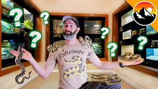 SNAKE CHALLENGE - Which one is Deadliest?!