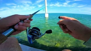 Fishing Ultra Clear Water for What Ever Bites - Florida Keys Adventure Epi 2