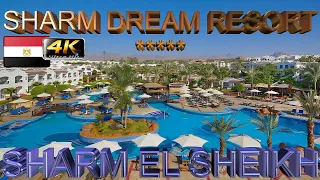 4K SHARM DREAM RESORT 2023 SHARM EL SHEIKH ПЯТЕРКА ЕСТЬ ВОПРОСЫ BEACH HOTEL EGYPT