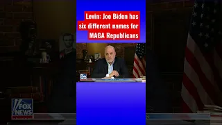 Mark Levin: Biden can’t stop trashing the American people #shorts