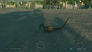 Jurassic World Evolution 2: Pyroraptor vs Compsognathus