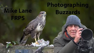 Photographing Buzzards (at 25,600 iso).