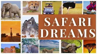 Top 12 African Safaris to Witness the Most Incredible Wildlife