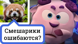 Почему растения зеленые, Смешарики ошибаются?