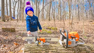 Sawing with dad. Toy Stihl chainsaw for kids and real one