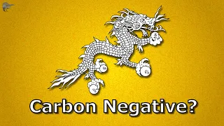 The World's First Carbon Negative Country