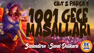 Binbir Gece Masalları - Cilt 2 (Sesli Kitap 1.Parça) (Seval Delikara)