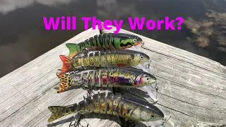 Amazon Lure Fishing Challenge! Will This Lure Catch Bass?