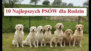 10 Najlepszych PSÓW dla  Rodzin