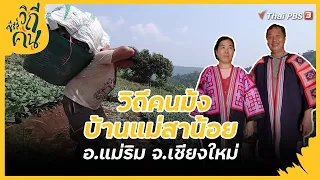 วิถีคนม้ง บ้านแม่สาน้อย อ.แม่ริม จ.เชียงใหม่ | ซีรีส์วิถีคน [CC]