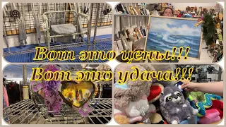 🇺🇸VLOG. Удивительные находки в GOODWILL. Цены просто удивляют. Испытываю свои покупки.