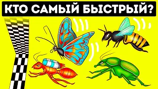 Вы не поверите, кто самые быстрые жуки | Странные факты о животных!