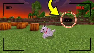 Dejé GRABANDO a mi PERRO por TODA LA NOCHE en MINECRAFT y esto pasó! 😱🐶