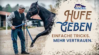 Hufe geben beibringen 🐎 Bernd Hackl Horsemanship