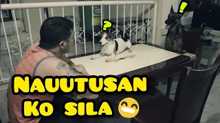 MGA ASONG NAUUTUSAN, LAUGH TRIP TO