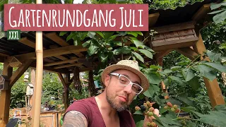 Gartenrundgang Juli 2022 🌺 Mein Garten im Juli ein Naturgarten mit Gemüsegarten und Schildkröten