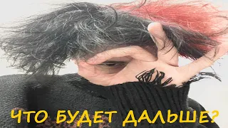 Курсед и Твич. Что будет дальше, ситуация с баном / ZXCURSED