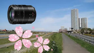 LUMIXレンズで撮る二子玉川公園・帰真園  マイクロフォーサーズ Lumix Lens Leica DG VARIO-ELMARIT 12-60mm/F2.8-4.0 ASP
