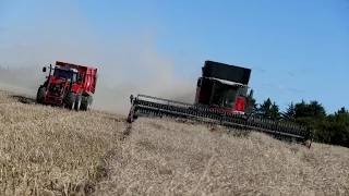 Massey Ferguson 9380 Delta Combine | Canola Harvest 2016 - Denmark