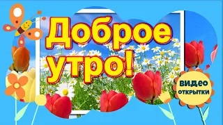 Доброе утро! Музыкальное пожелание с Добрым утром и хорошим днем! Красивая видео открытка для друзей