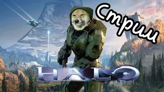 Halo The Master Chief Collection Прохождение | Достижения | Обзор | ЛВЧ | Шутер №77