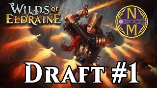 Wilds of Eldraine Draft #1 | Can I get 7 Wins on my First Try? |  MTG Arena Streamer Event