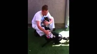 Sailor and his dog reunited!