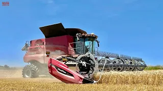 40ft MacDon FD240 Harvesting Wheat