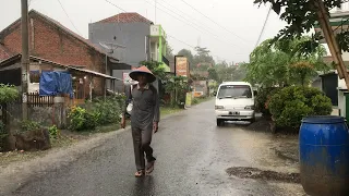 Heavy Rain Walks in Rural Indonesia | Calm and Peaceful Village Atmosphere | Rain Sounds For Sleep