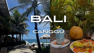 Canggu - BALI vlog part 1 - girls trip: food spots & cafes, beach clubs, shopping, nightlife, review